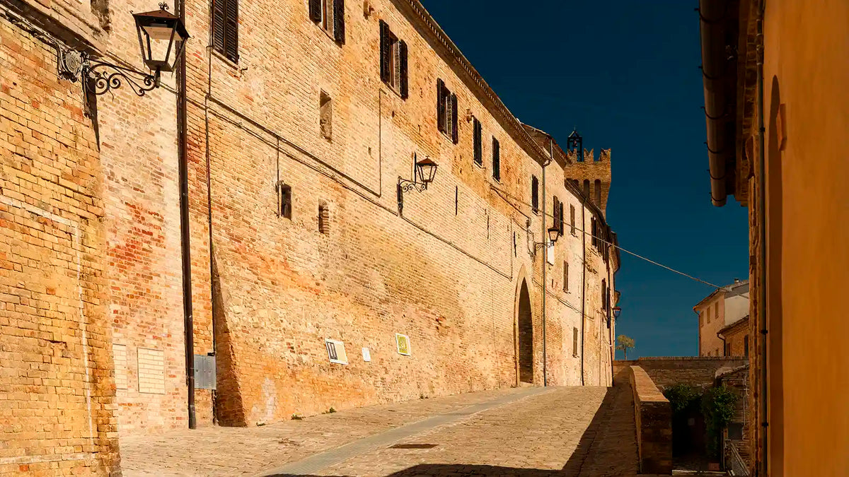 L'ulivo sui bastioni.
